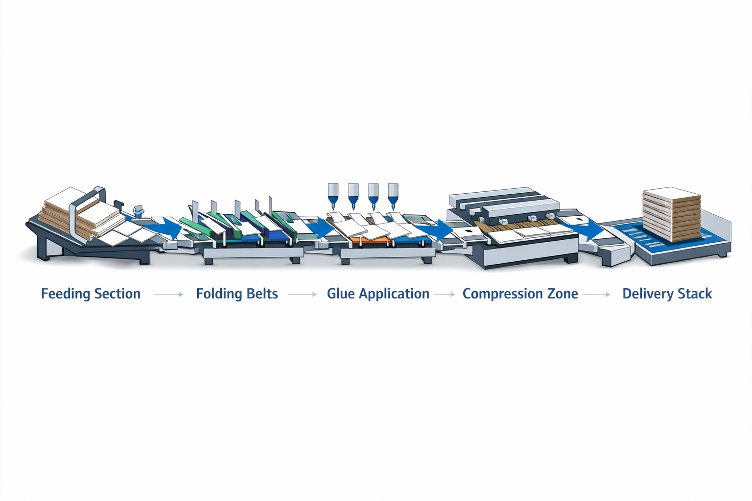 Folder gluer machine process showing feeding folding gluing and delivery stages